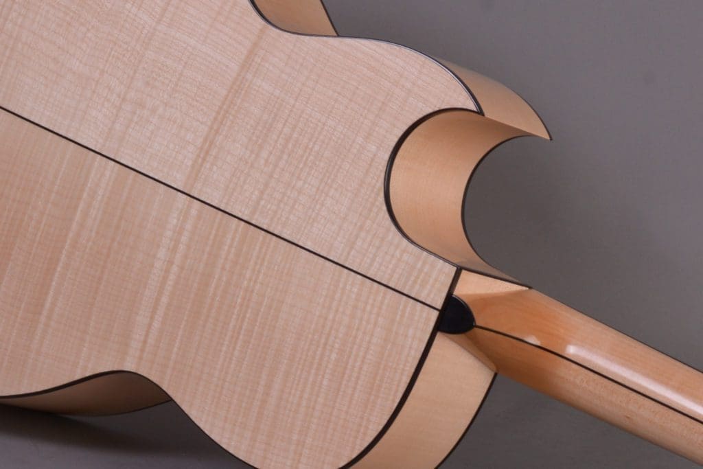 D71_9408_Scaled_Cropped custom guitar with cut-away section