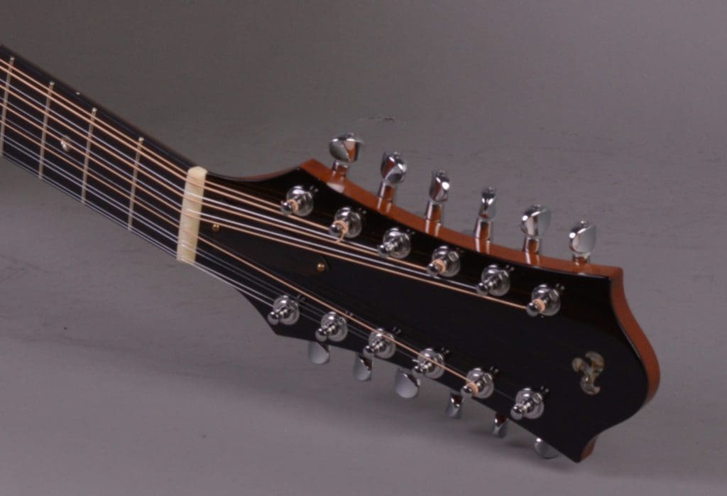D71_9534_Scaled_Cropped2 twelve-string custom guitar by Chuck T at NOVO Engineering