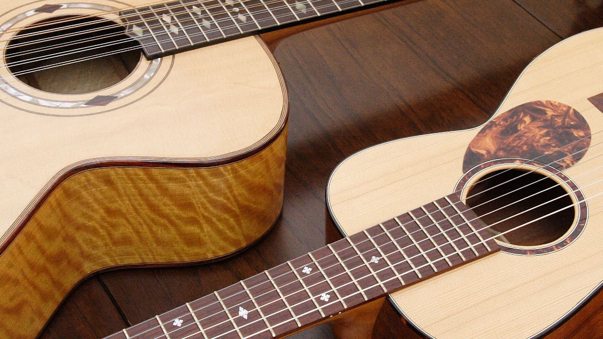Engineer and Master Luthier