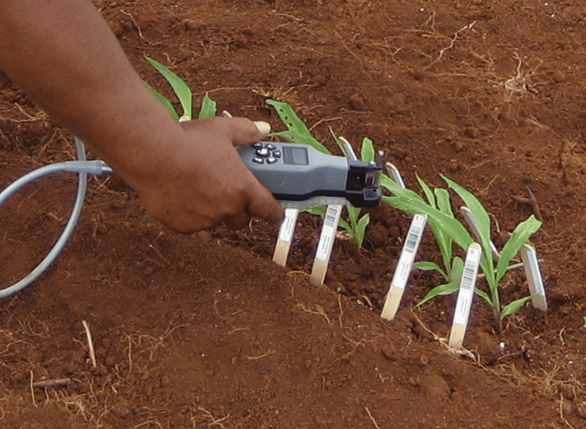 BIOTECH INSTRUMENT DEVELOPMENT